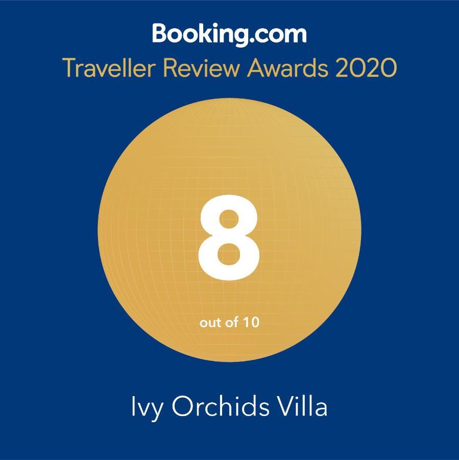 Villa Ivy Orchids - *