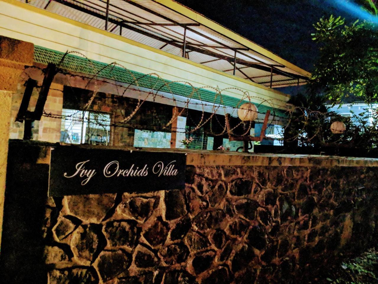 Ivy Orchids - * Lonavala
