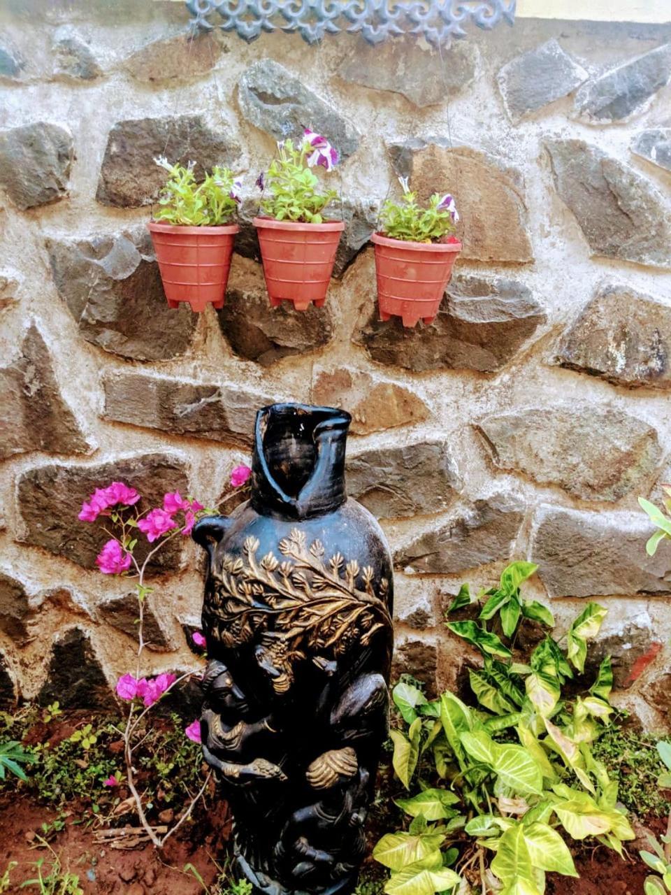 Ivy Orchids - * Lonavala